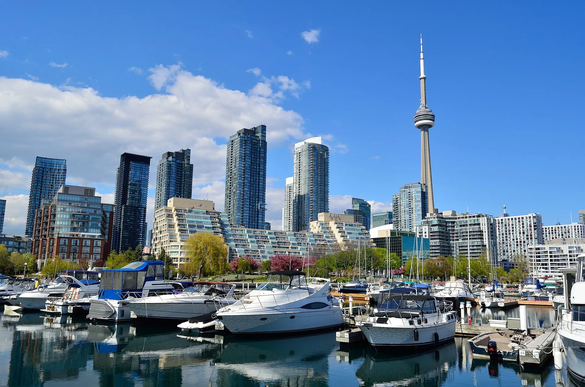 Toronto skyline and CN Tower from the harbour - porn jobs Canada casting
