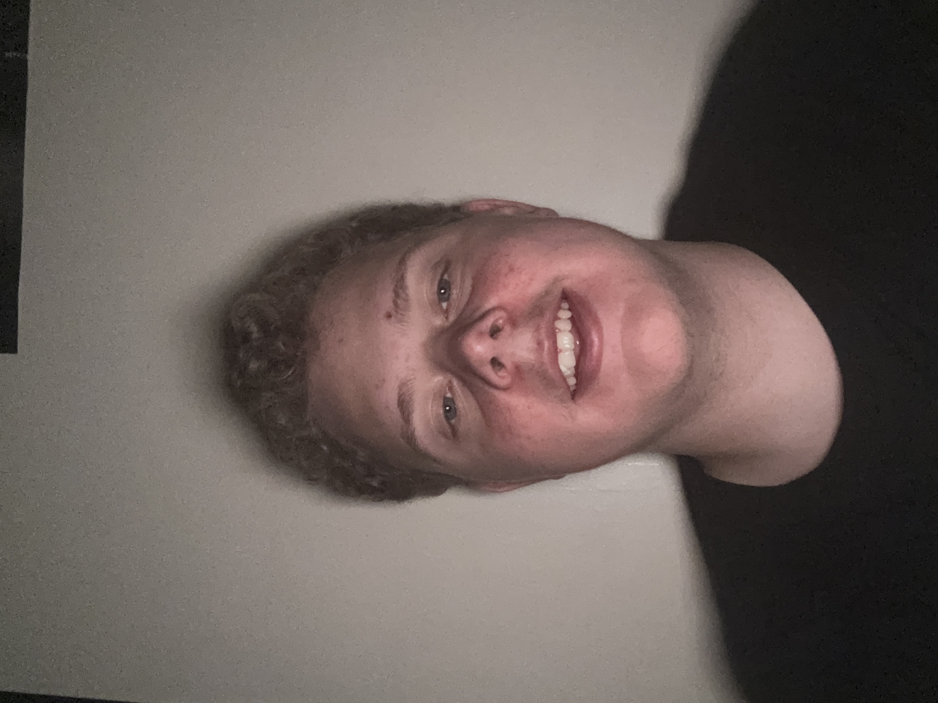 BlondeBear